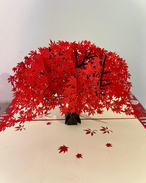 Maple tree card Auckland online