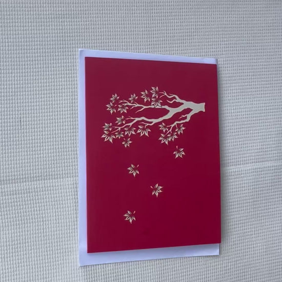 Maple tree 3D card - Review